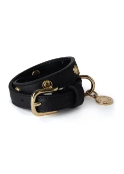 HC Studded Dog Collar