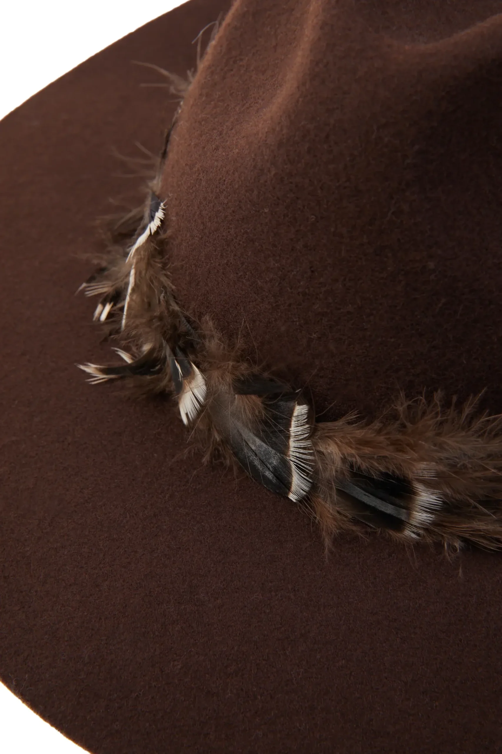 Trilby Hat Iridescent Feather Band